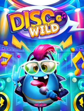 Disco Wild